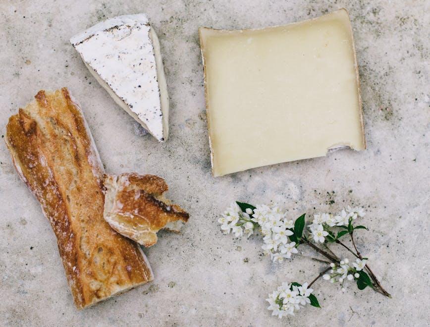 bread food cracker