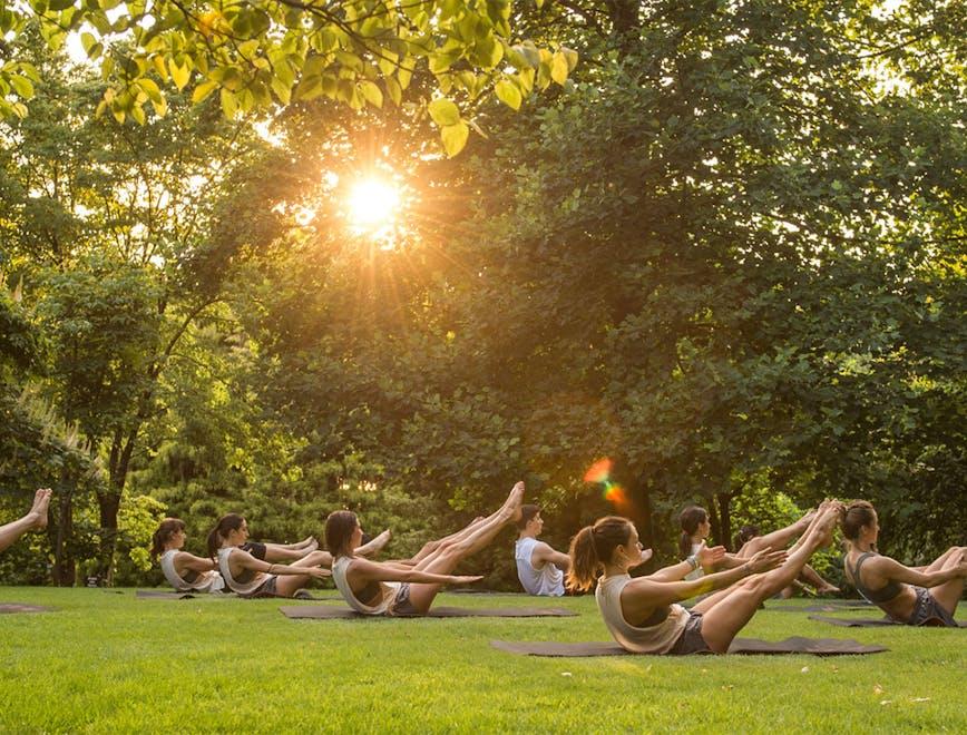 grass plant person lawn park outdoors sunlight flare light furniture