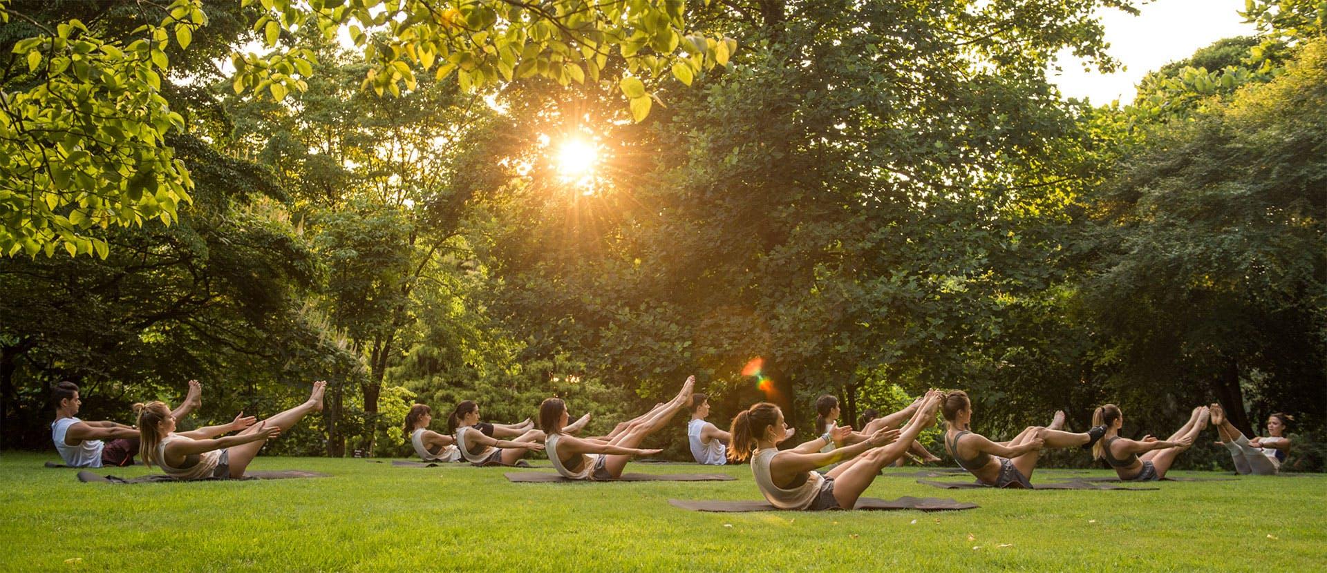 grass plant person lawn park outdoors sunlight light flare furniture