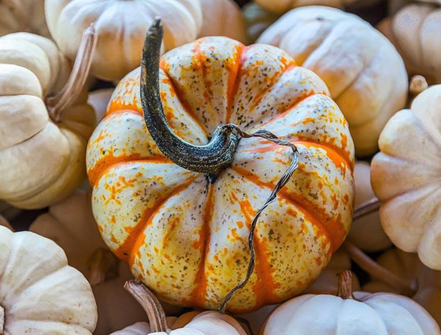 plant pumpkin food vegetable produce squash