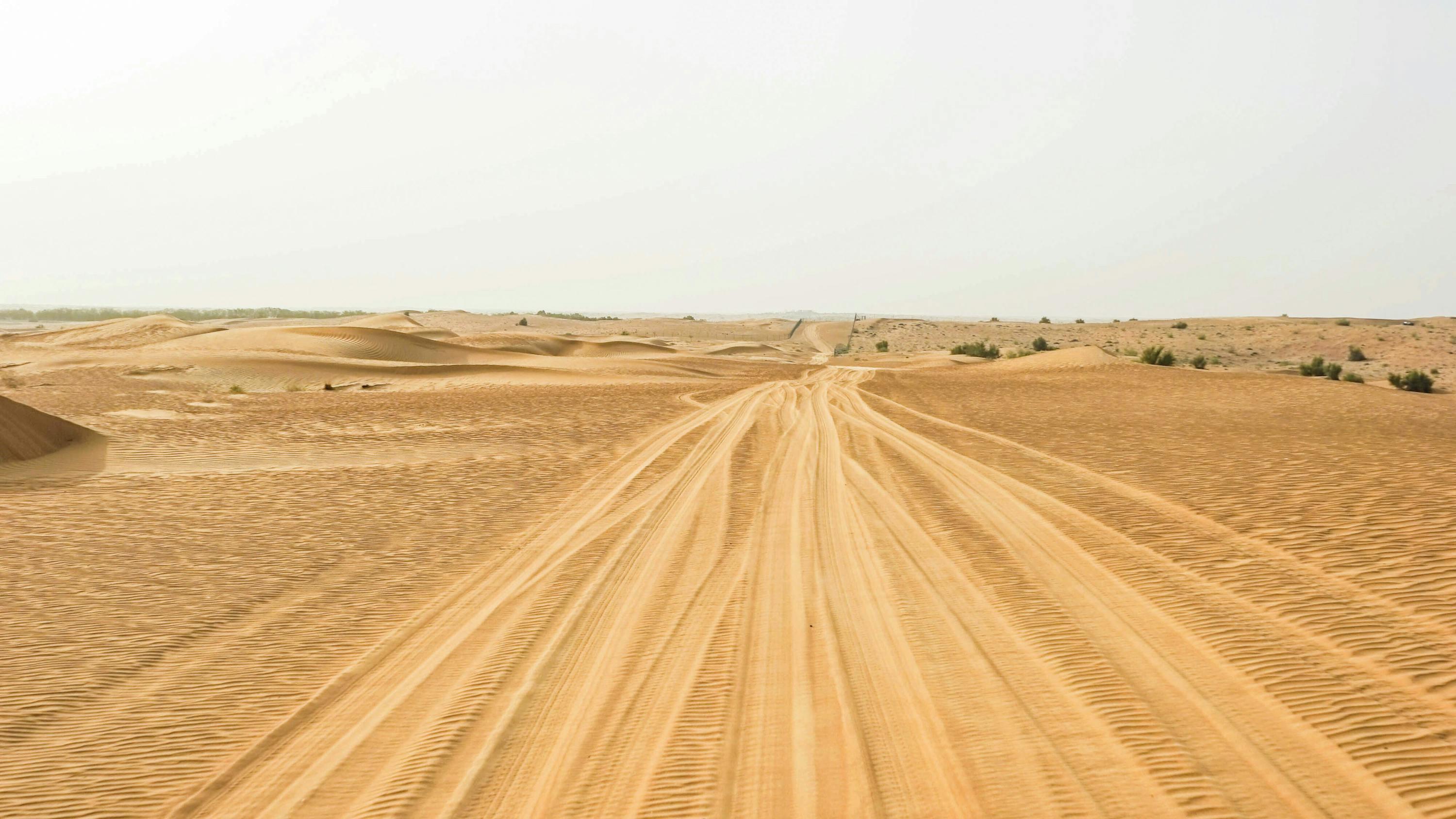 soil nature outdoors sand desert dune