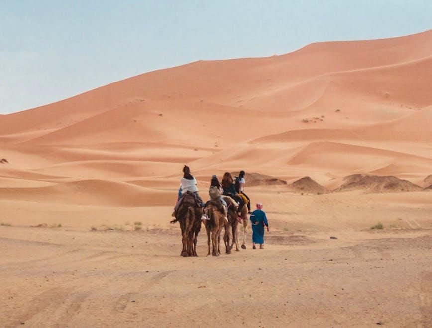 soil nature outdoors sand person desert dune animal mammal horse