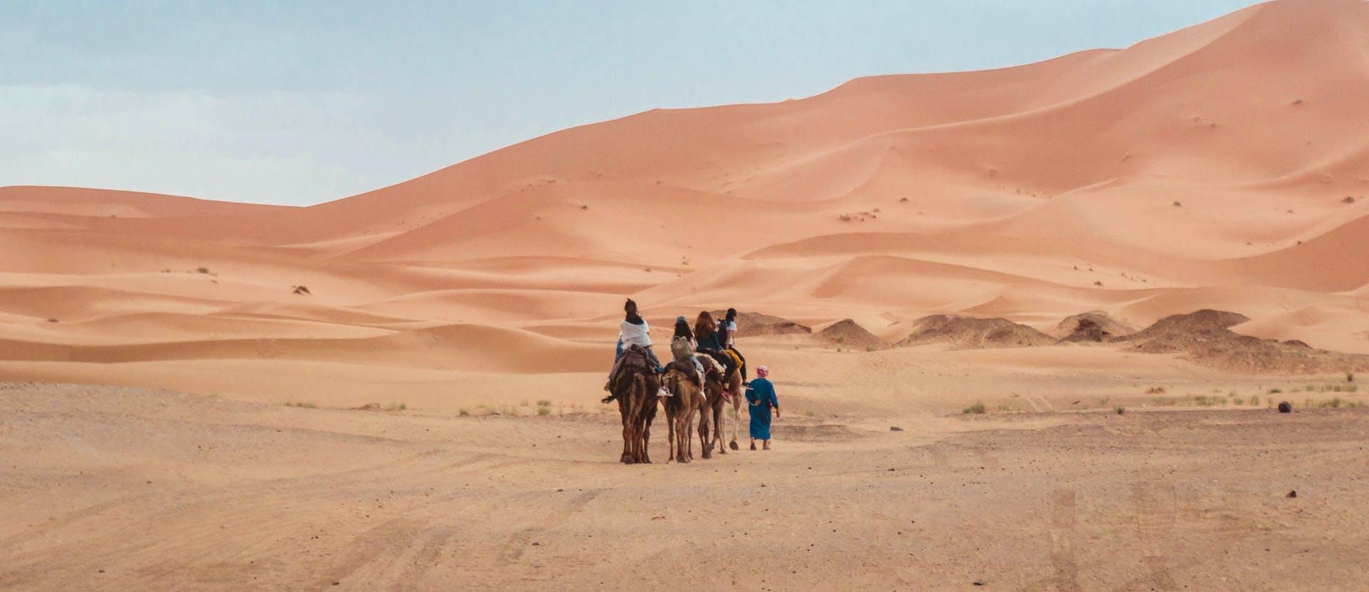 soil nature outdoors sand person desert dune horse mammal animal