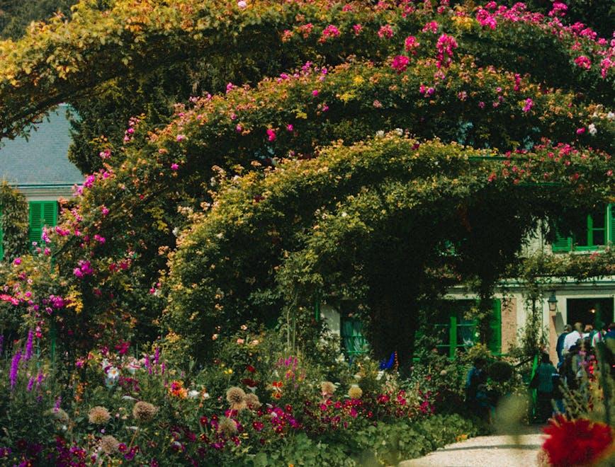 outdoors garden arbour human person plant