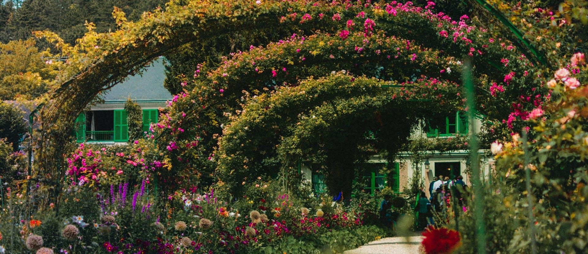 outdoors garden arbour human person plant