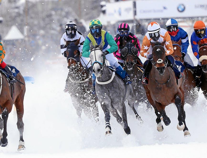 white turf eis pferde snow sport horse races st. moritz turf st. moritzersee schnee pferderennen pferdesport horse horse race graubuenden human person helmet clothing apparel equestrian mammal animal