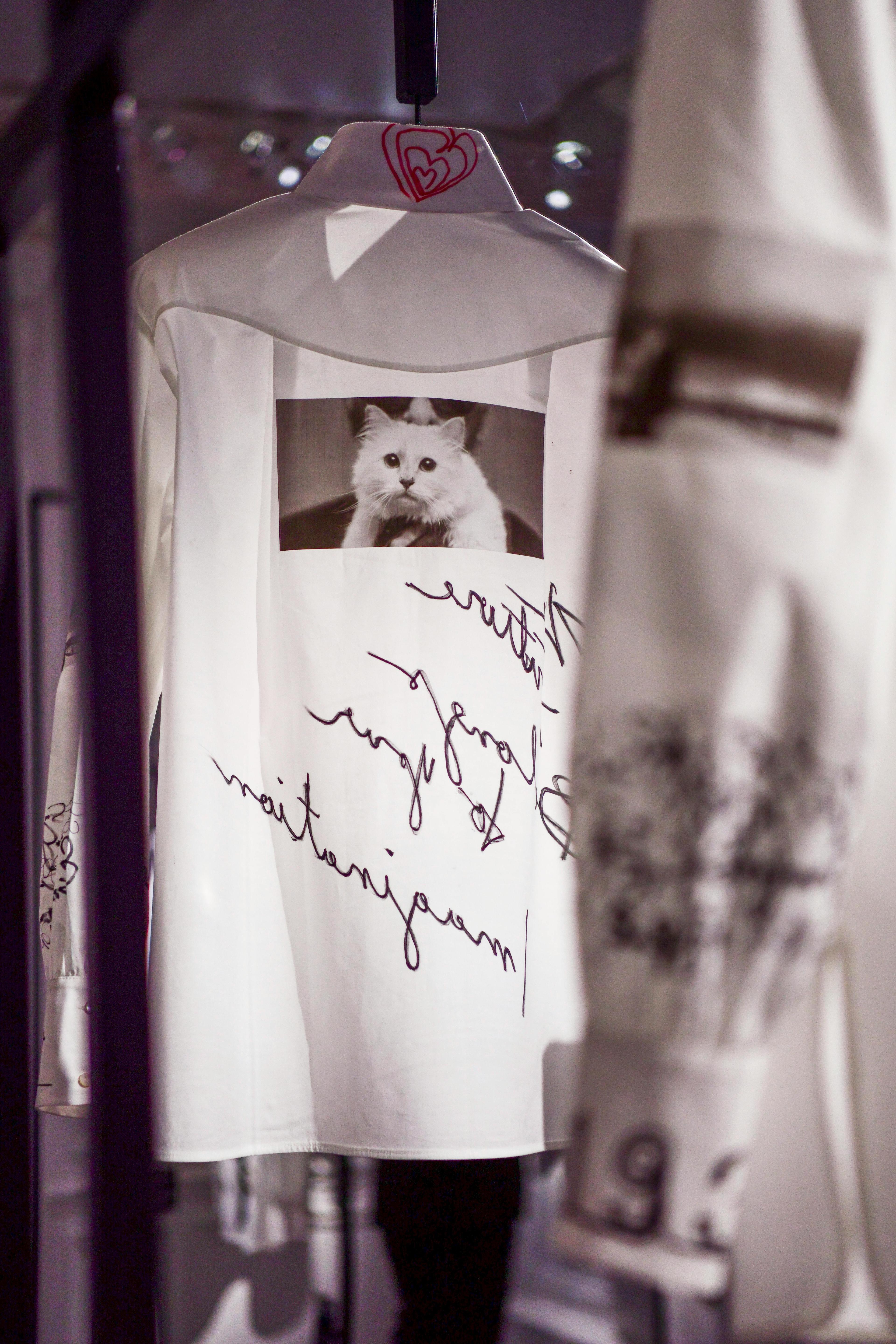 arts culture and entertainment celebrities fashion paris text mammal canine pet dog animal human person