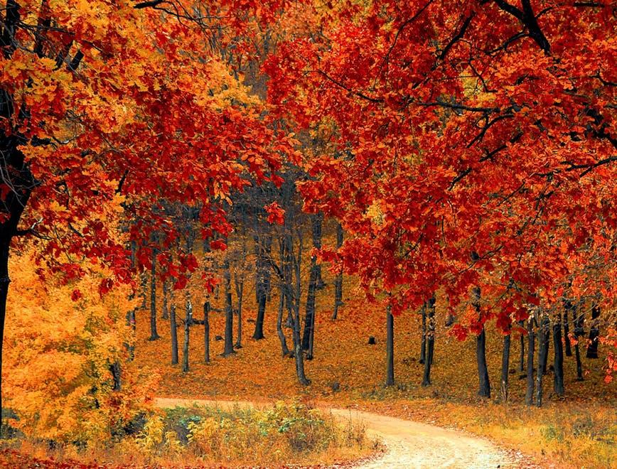 le passeggiate da fare in autunno in italia