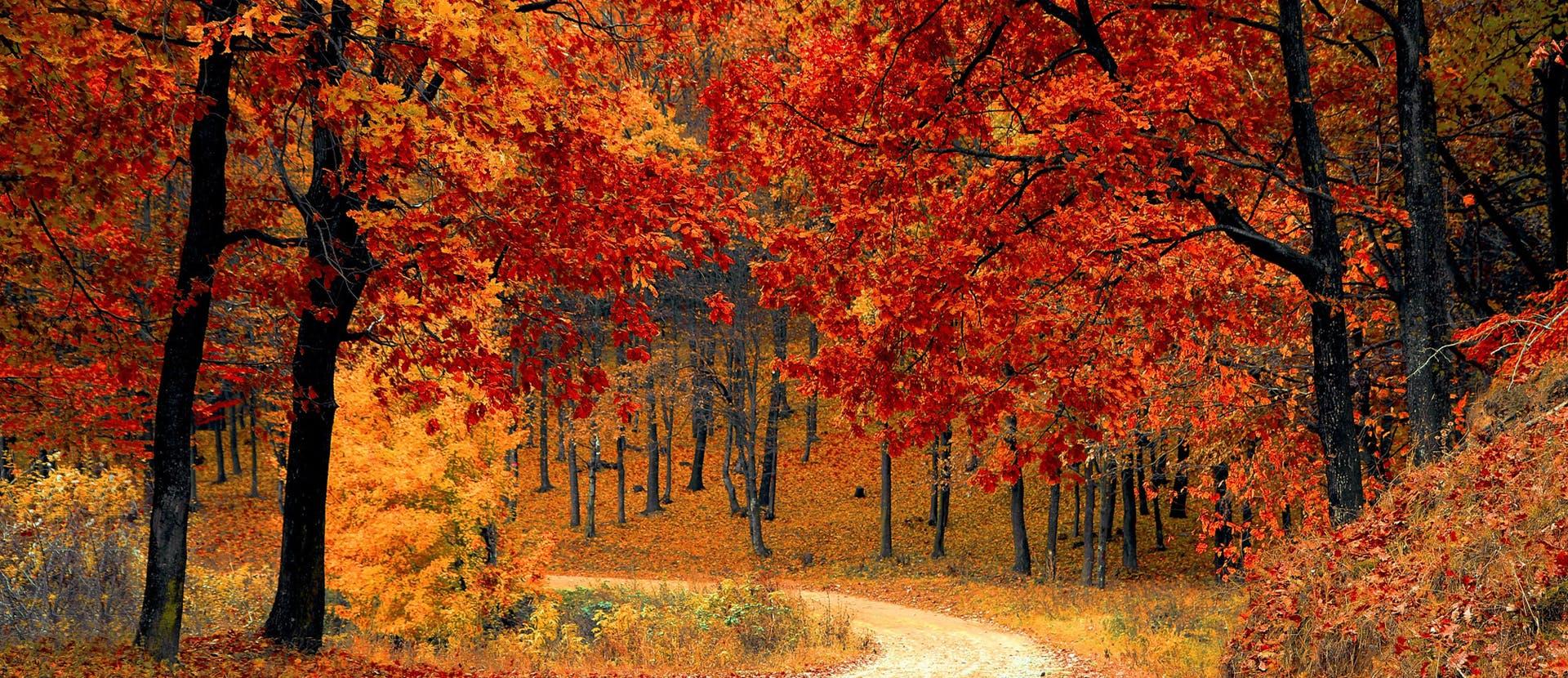 le passeggiate da fare in autunno in italia