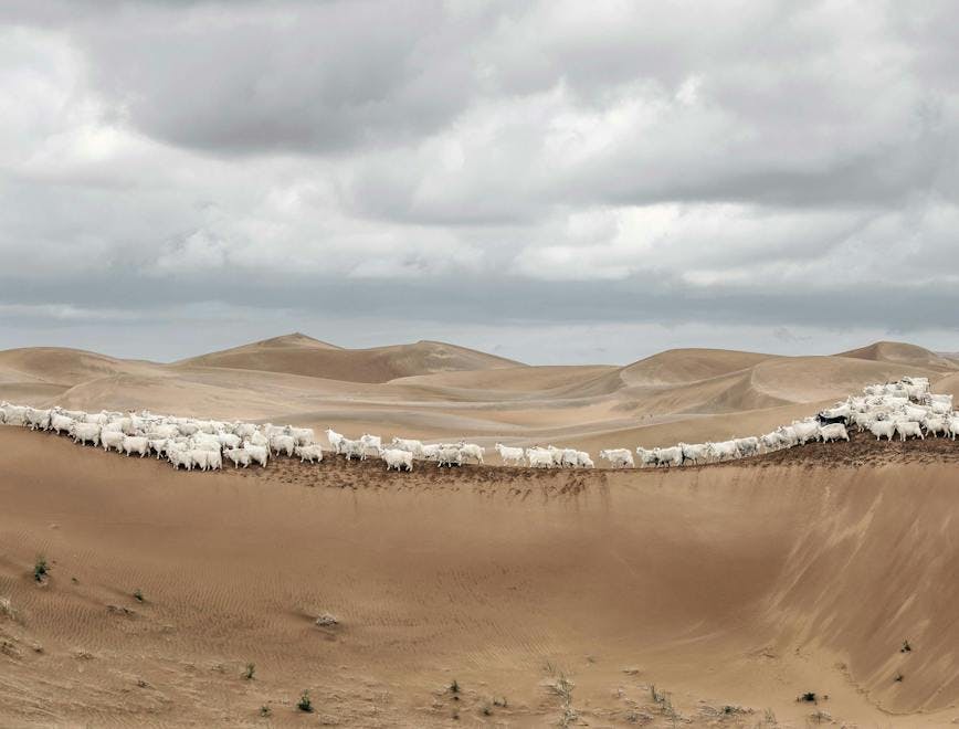 soil outdoors nature sand dune desert