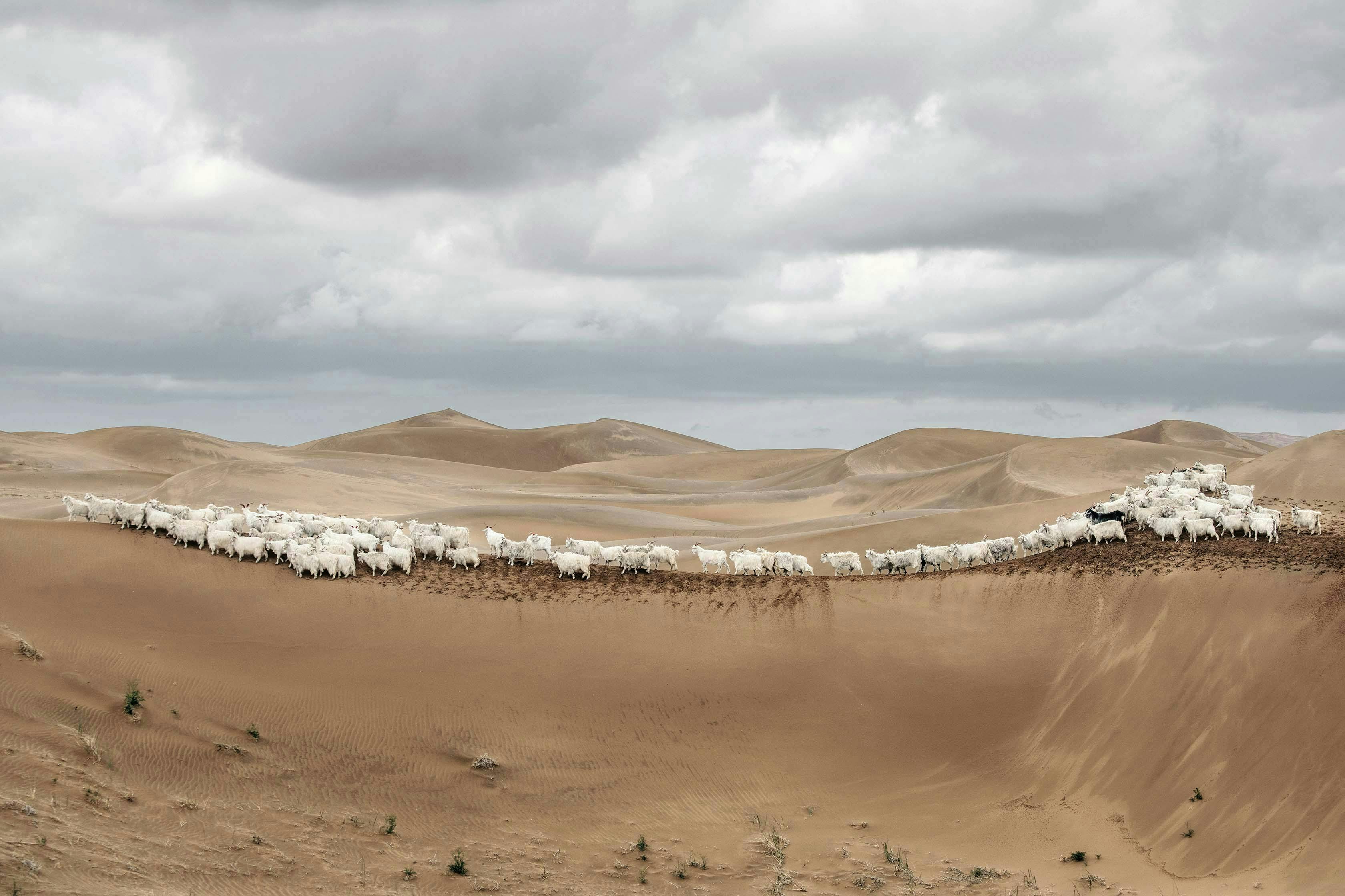 soil outdoors sand nature dune desert