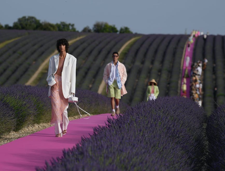 human person plant lavender