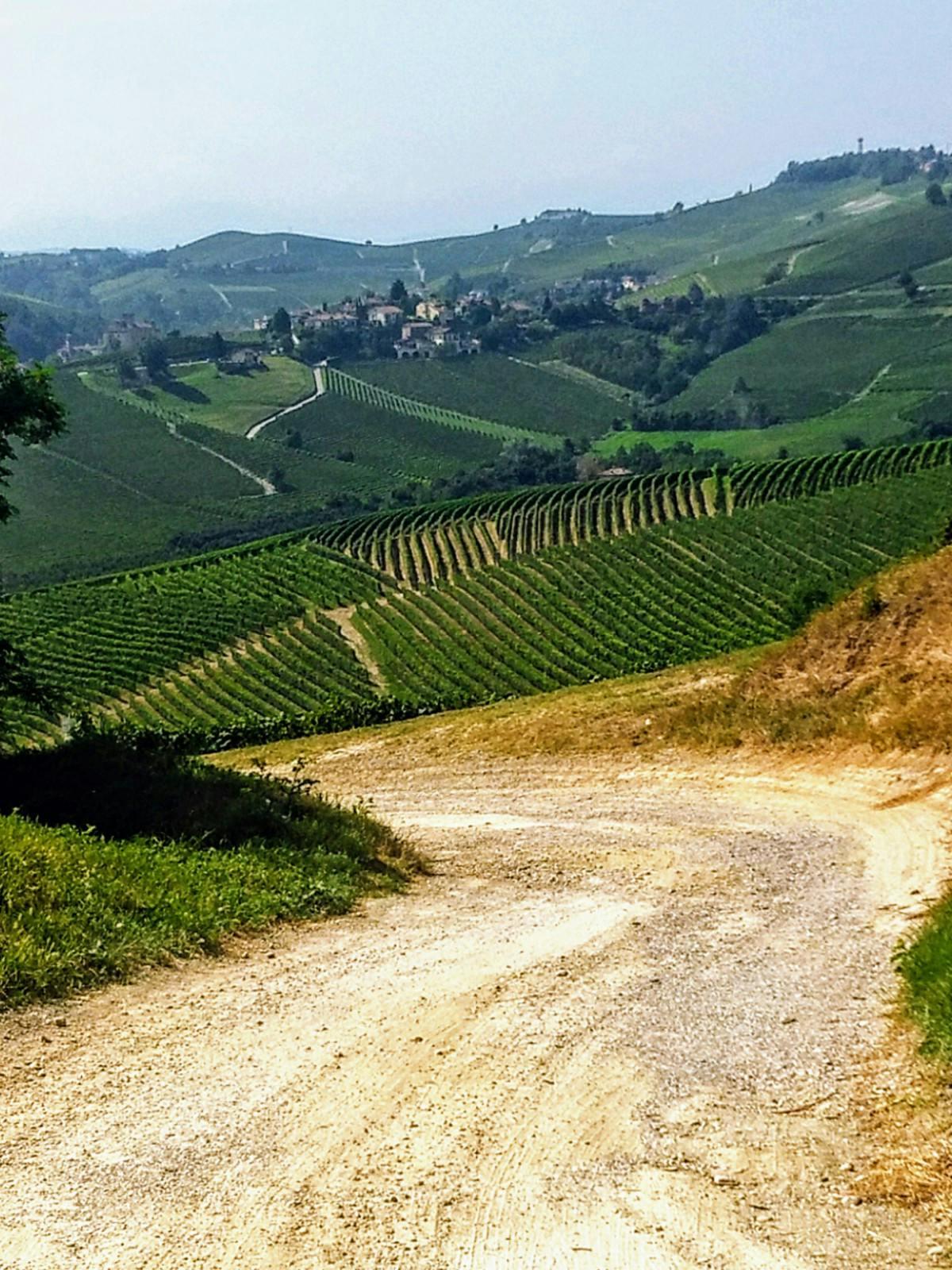 nature outdoors rural farm countryside road gravel dirt road