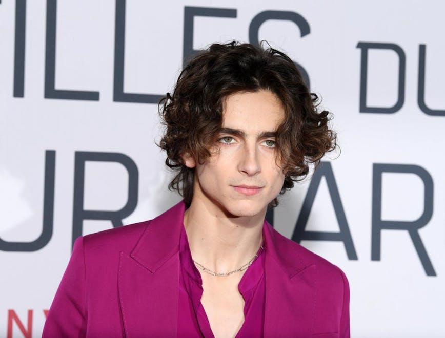 Timothée Chalamet e ariana grande documentario netflix-lofficielitalia