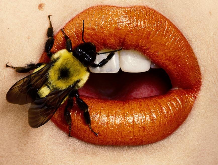 Un'immagine di una foto di Irving Penn, Bee, New York, 1995 © The Irving Penn Foundation