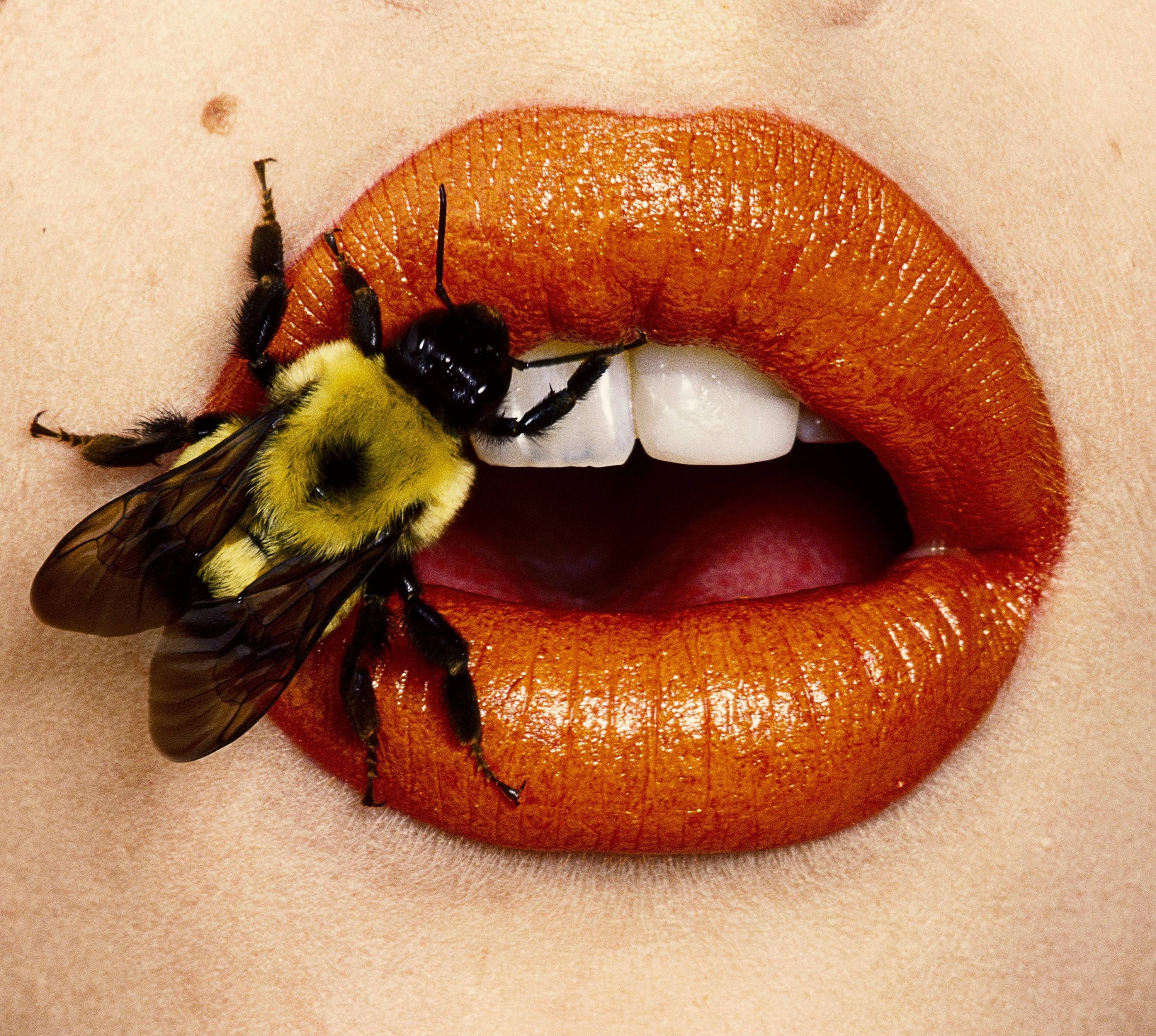 Un'immagine di una foto di Irving Penn, Bee, New York, 1995 © The Irving Penn Foundation