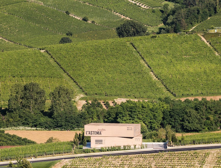 Nell'immagine: cantina L'Astemia Pentita, Barolo. 