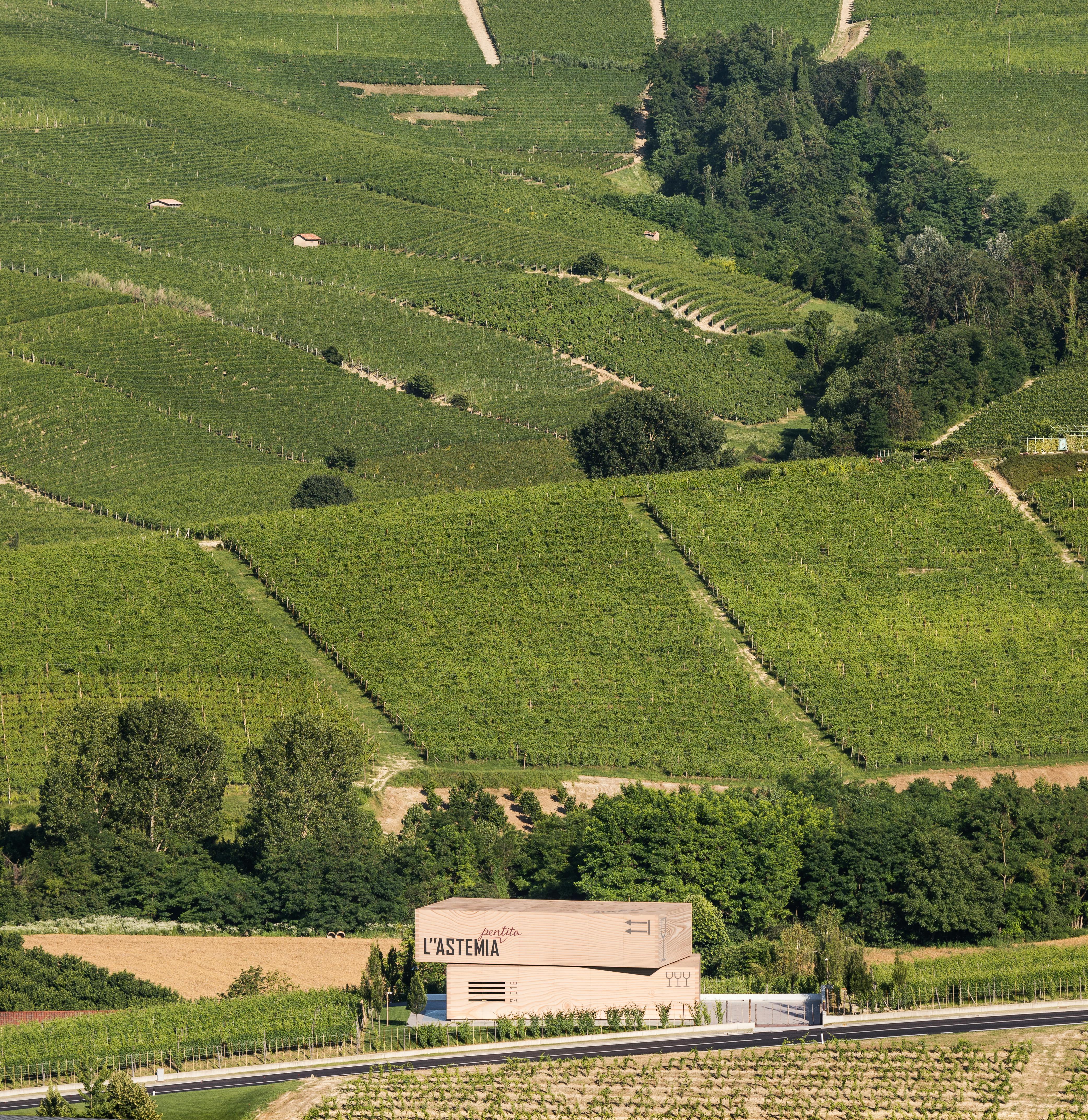 Nell'immagine: cantina L'Astemia Pentita, Barolo. 