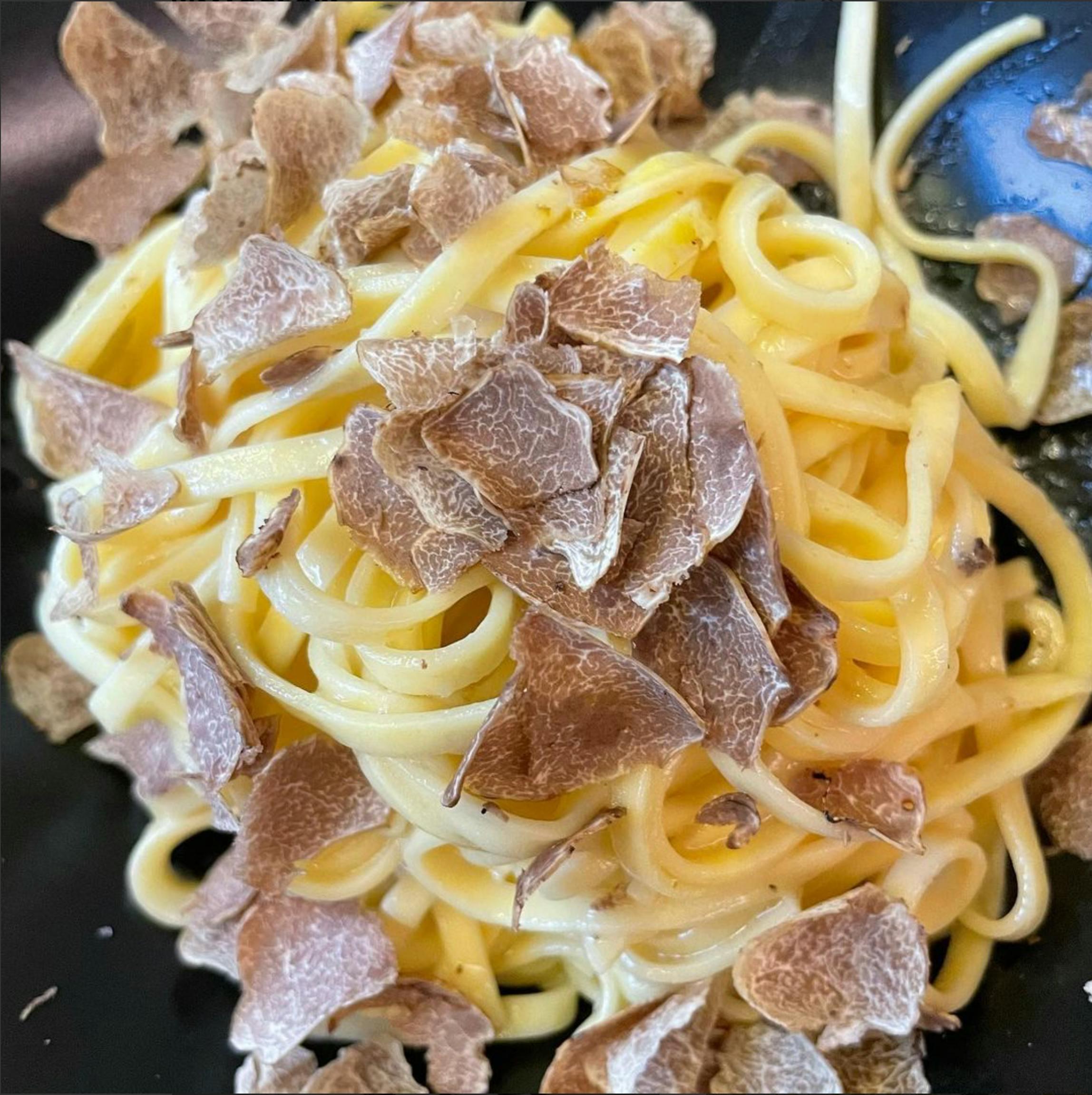 Tagliolini al tartufo bianco