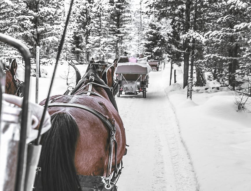 Passeggiata in carrozza del Carlton Hotel Saint Moritz