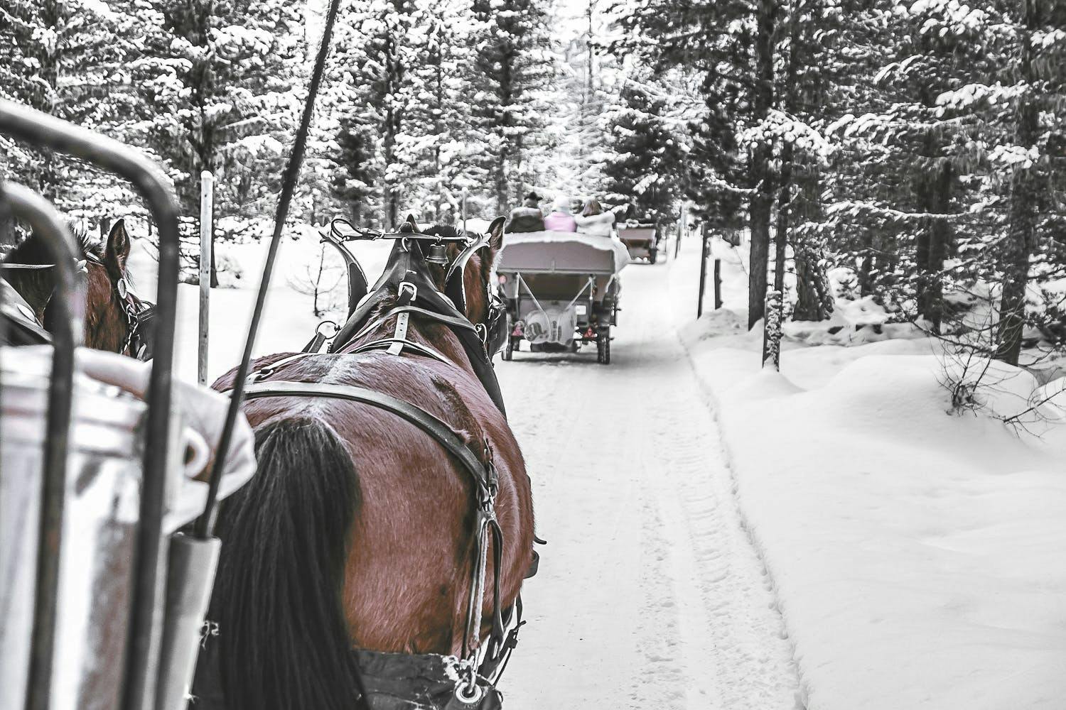 Passeggiata in carrozza del Carlton Hotel Saint Moritz