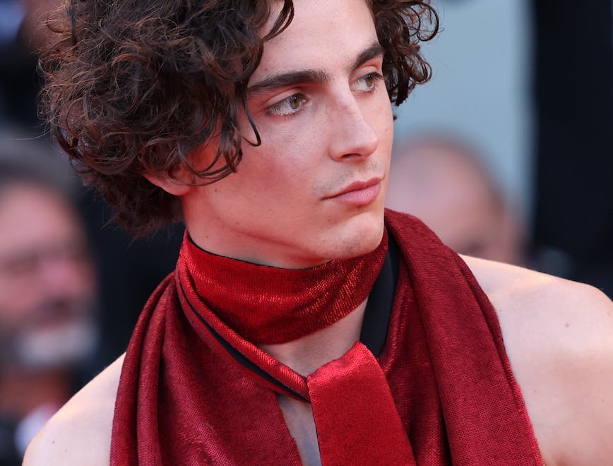 Timothée Chalamet photo by Getty Images