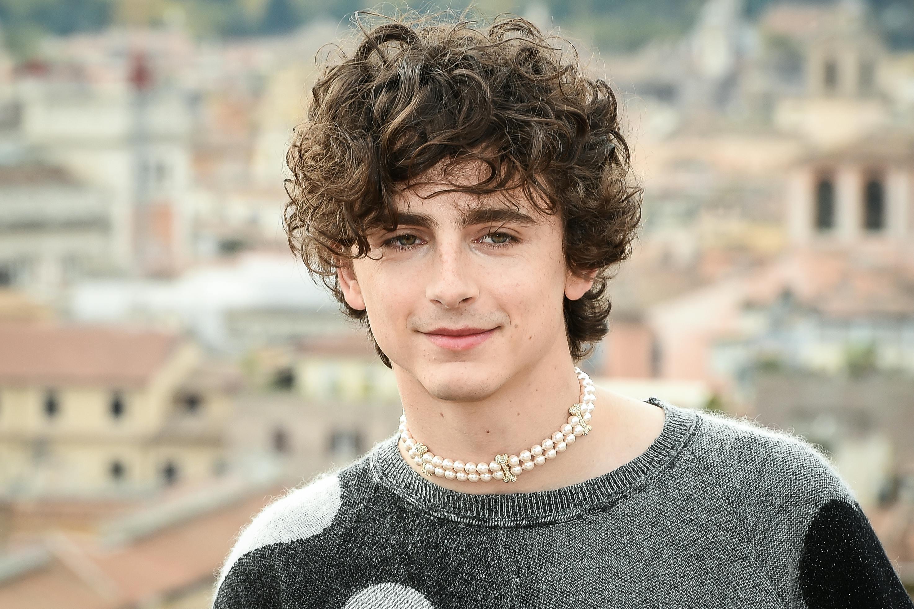 I capelli ricci di Thimotheé Chalamet