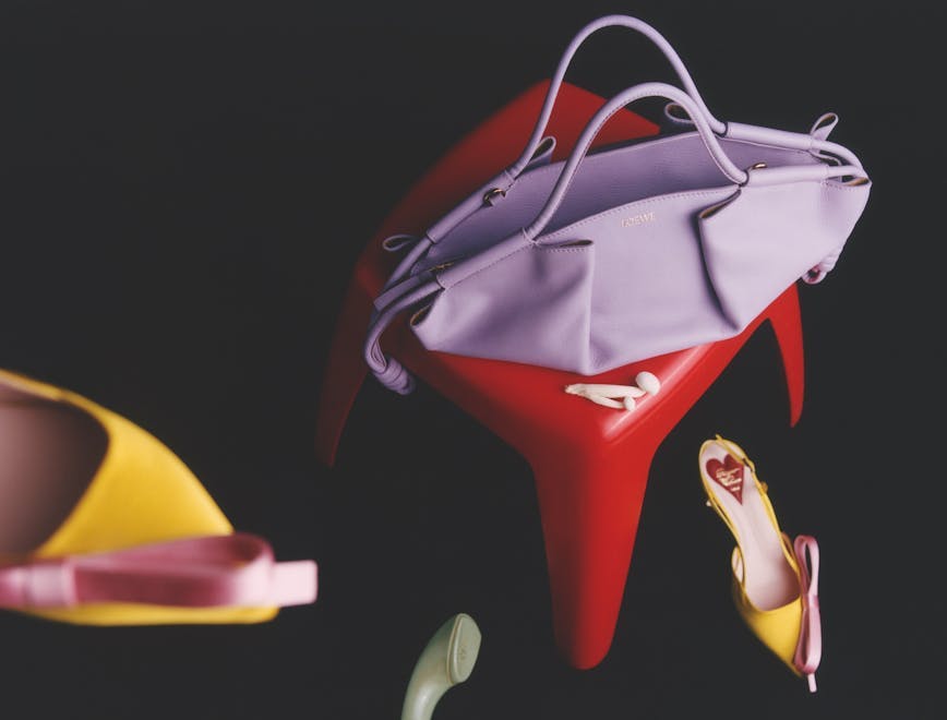 Slingback "Virgule Bow’", ROGER VIVIER; borsa "Paseo" in shiny nappa LOEWE.