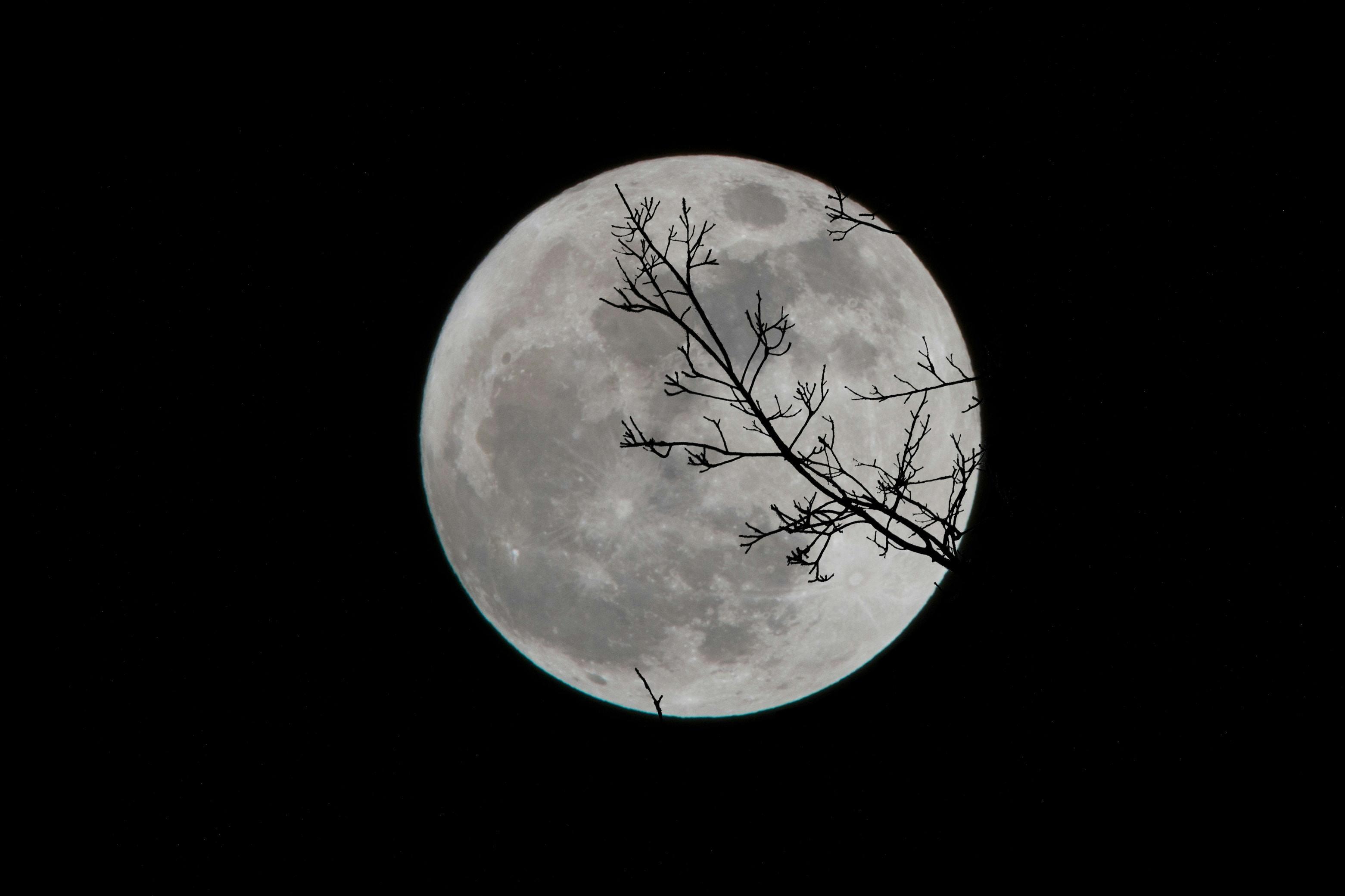 nature night outdoors astronomy moon