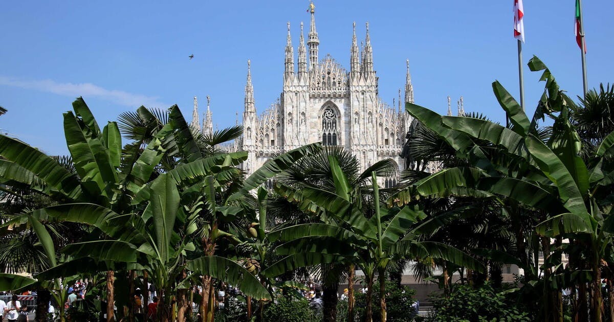 architecture building church landmark person animal bird duomo di milano