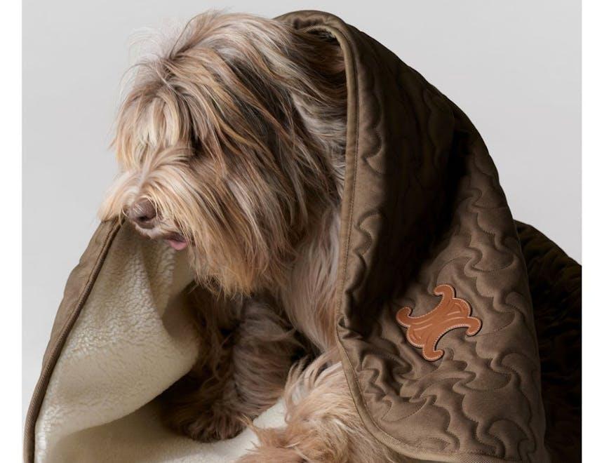 Celine Dog Accessories Collection - Scialle e custodia in pelle di vitello € 1.200 (Courtesy of press)