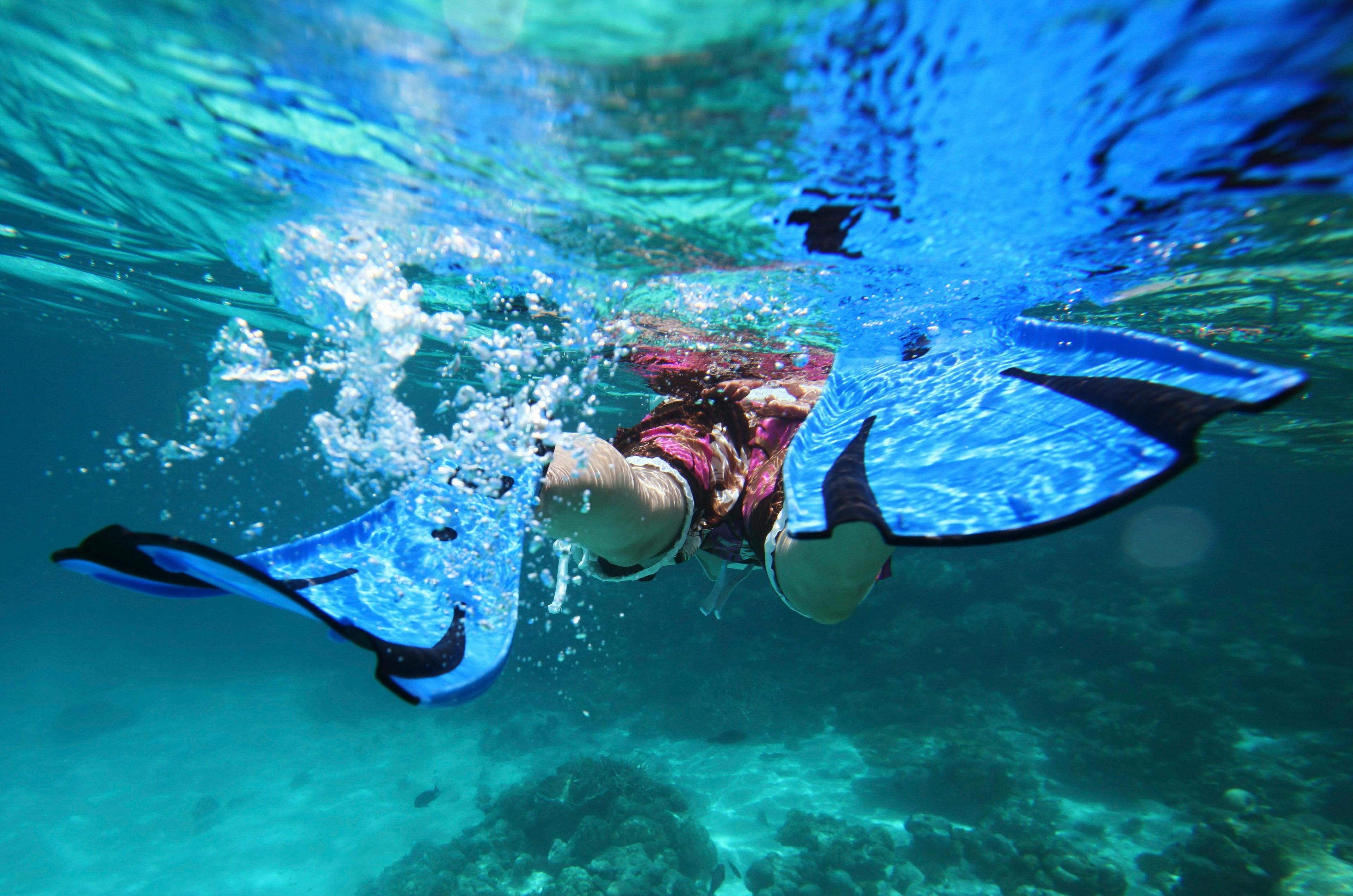 lifestyles exercising tourism enjoyment turquoise exploration coral face mask water's edge water sport school of fish recreational pursuit idyllic fun adventure saltwater diving swimming underwater reef sport snorkeling underwater diving scuba diving snorkel strandurlaub white sand beach sandbar beauty ocean heat bay sunlight oceania asia southeast asia michigan lagoon travel scenics luxury indian tourist resort landscape leisure activity paradise exoticism travel destinations coastline palm tree seascape sand vacations blue cloud nature sun sky beach maldives sea tropical climate water island addu atoll 92542940 male leisure activities person water sports outdoors